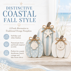 Coastal Wooden Pumpkin Tabletop Décor, Set of 3